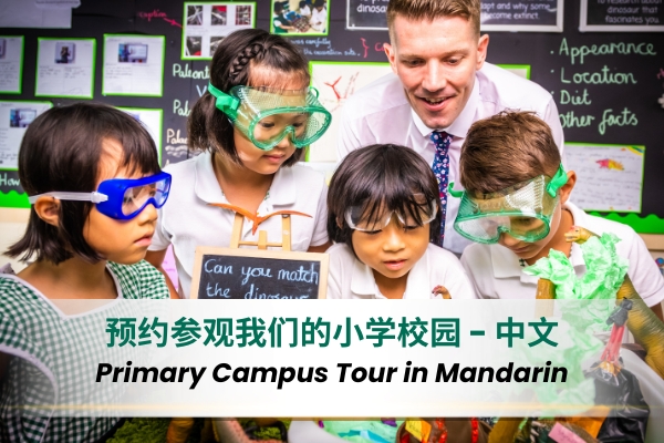 Click to Book a Tour in Mandarin