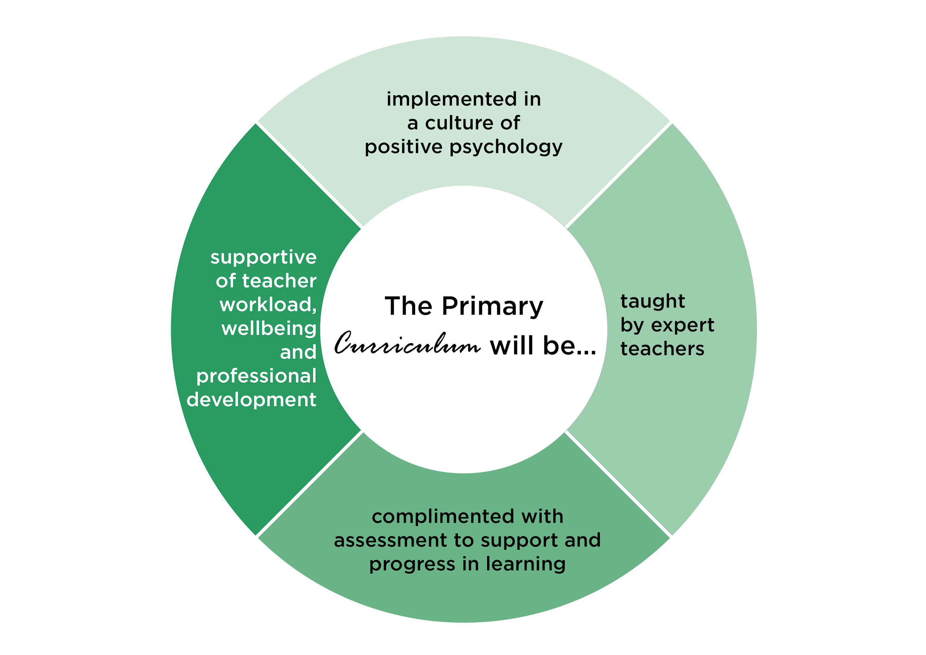 CUSP primary curriculum